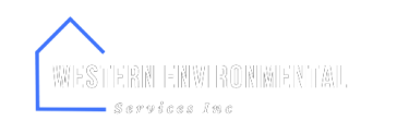 Western Environmental Services Inc